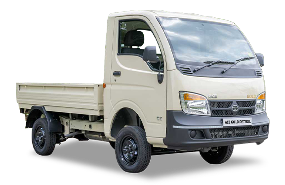Tata Ace Loading and Transport